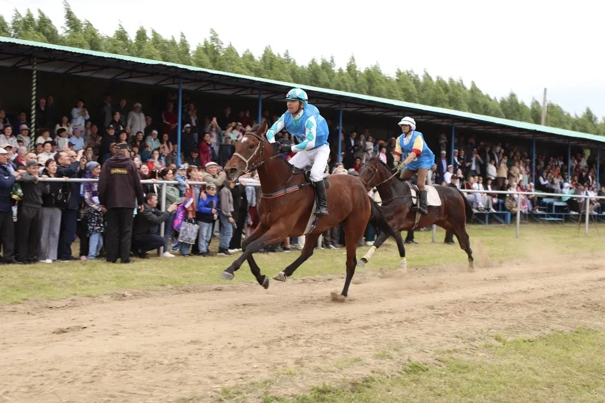 🏇Самое зрелищное мероприятие Сабантуя — конные скачки!

На майдане Татышлинского района состоялись 