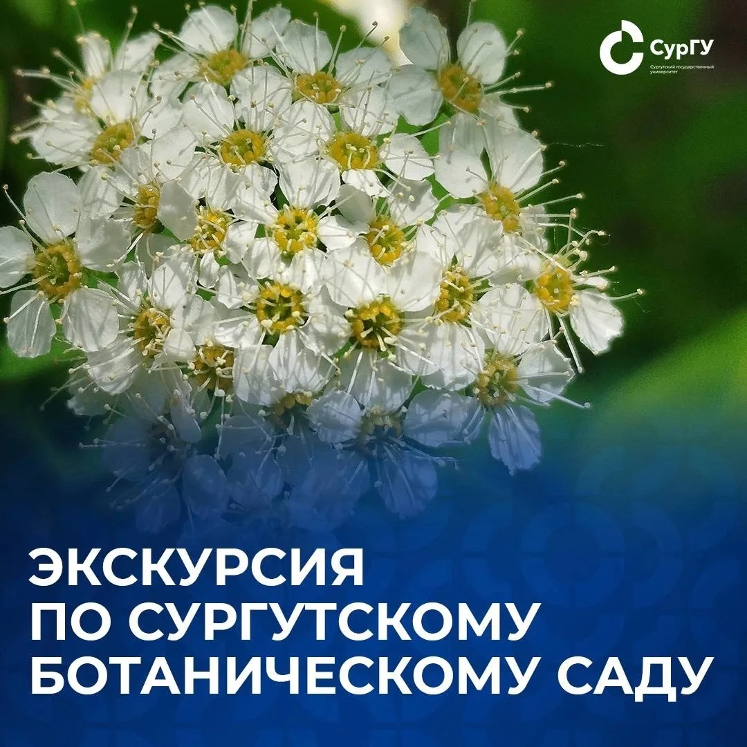Ботанический сад открывает экскурсионный сезон

В Ботаническом саду СурГУ стартовали бесплатные экск