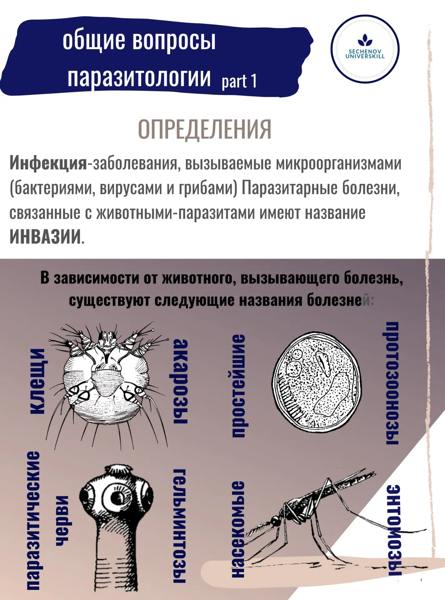 Мы потихонечку начинаем оживлять нашу стеночку (: