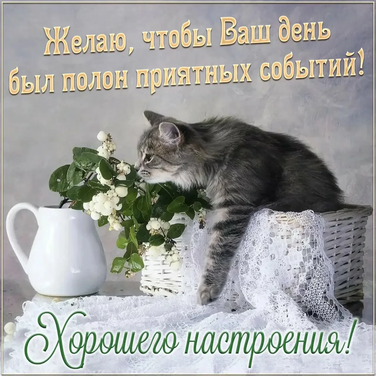 Список качественных каналов в МАКС | Смотреть ❤️