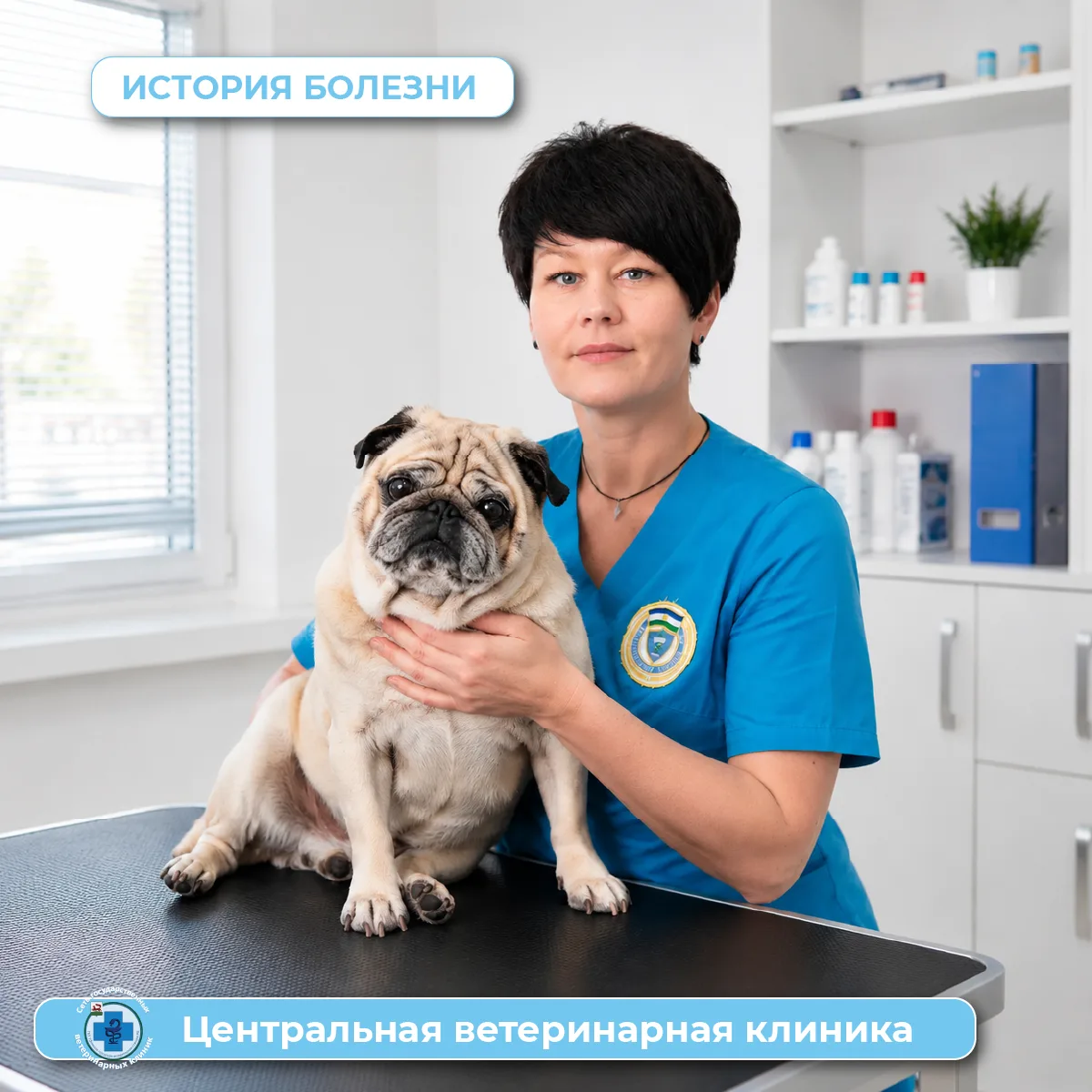 Лору спасли от пиодермии: почему нельзя лечить антибиотиками без врача