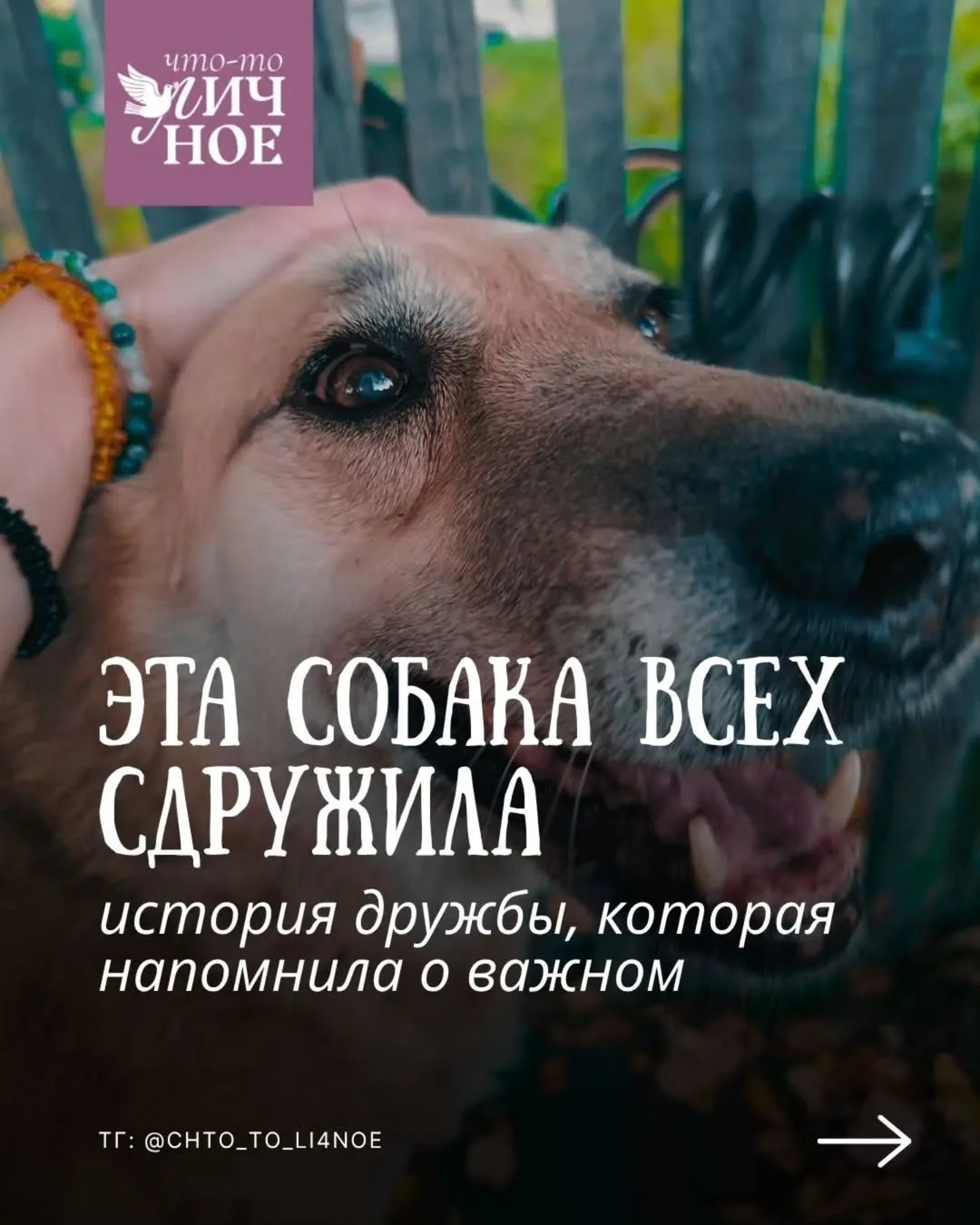«Однажды моя подруга переживала непростой период. Пыталась найти хоть какую-то работу и...