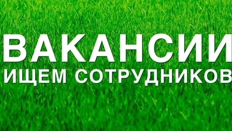💥В МАОУ "СОШ №19" ВАКАНСИИ!💥 
 
🔍В КОЛЛЕКТИВ НАШЕЙ ШКОЛЫ С 1 СЕНТЯБРЯ 2026 ГОДА СРОЧНО ТРЕБУЮТСЯ: