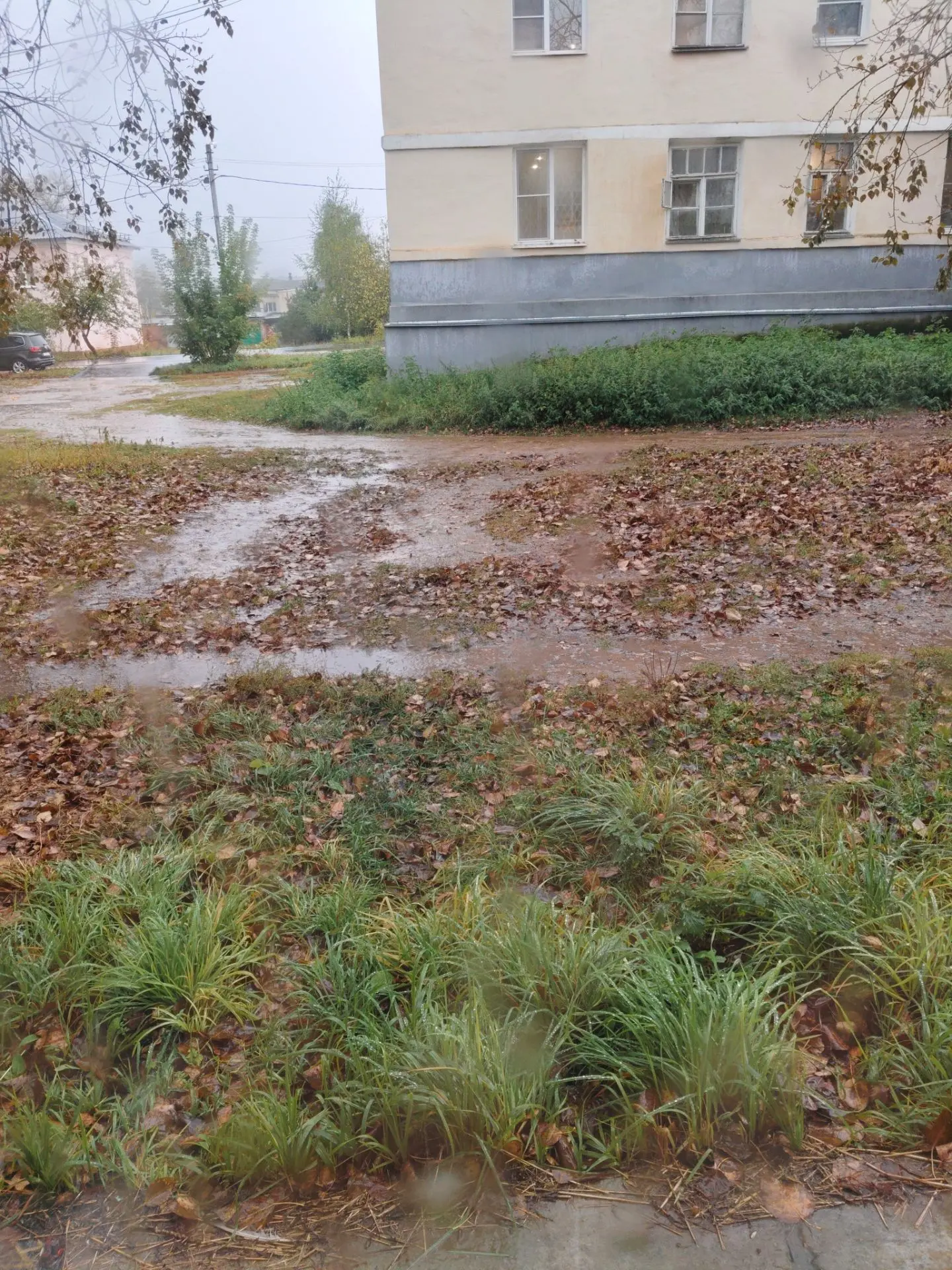 Неплохо так льет весь день 🌧️