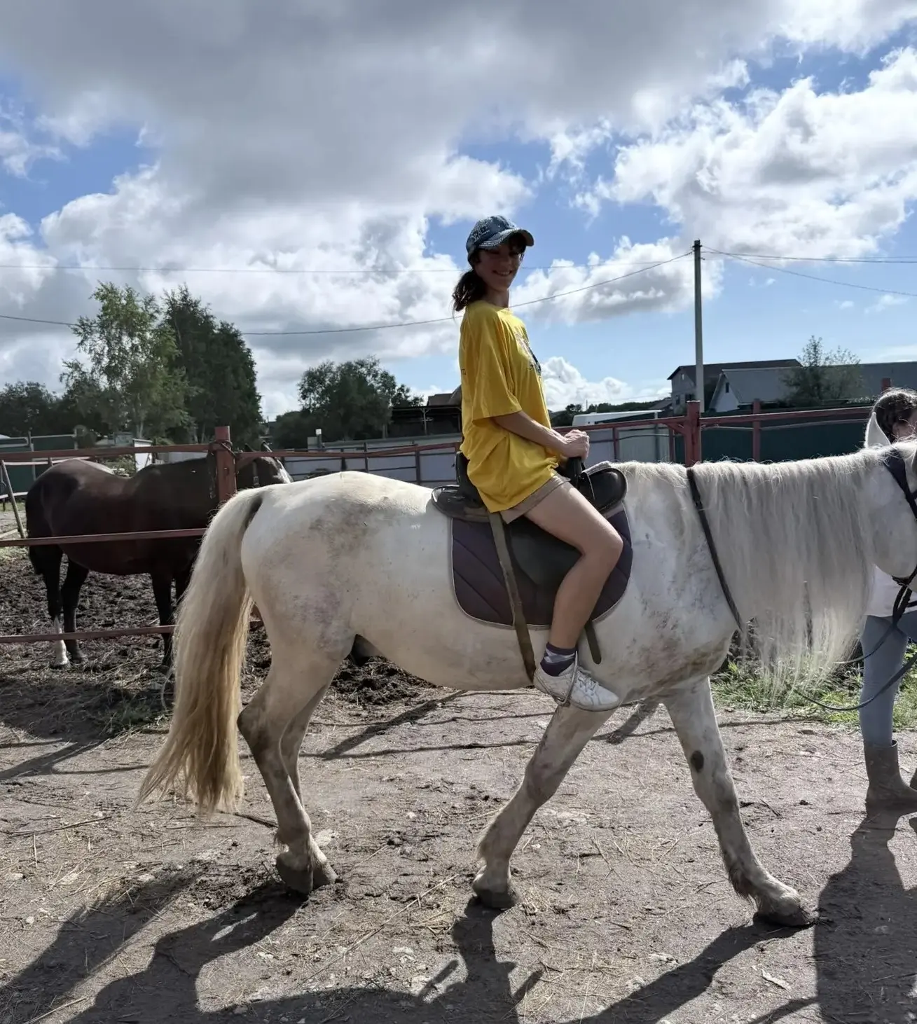 Терапия общения с лошадьми🐴