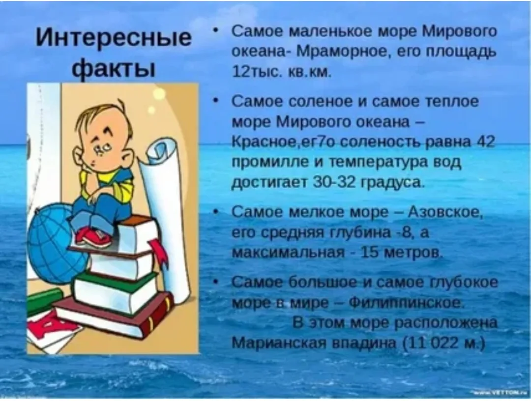 Интересные факты о море.🌊😊