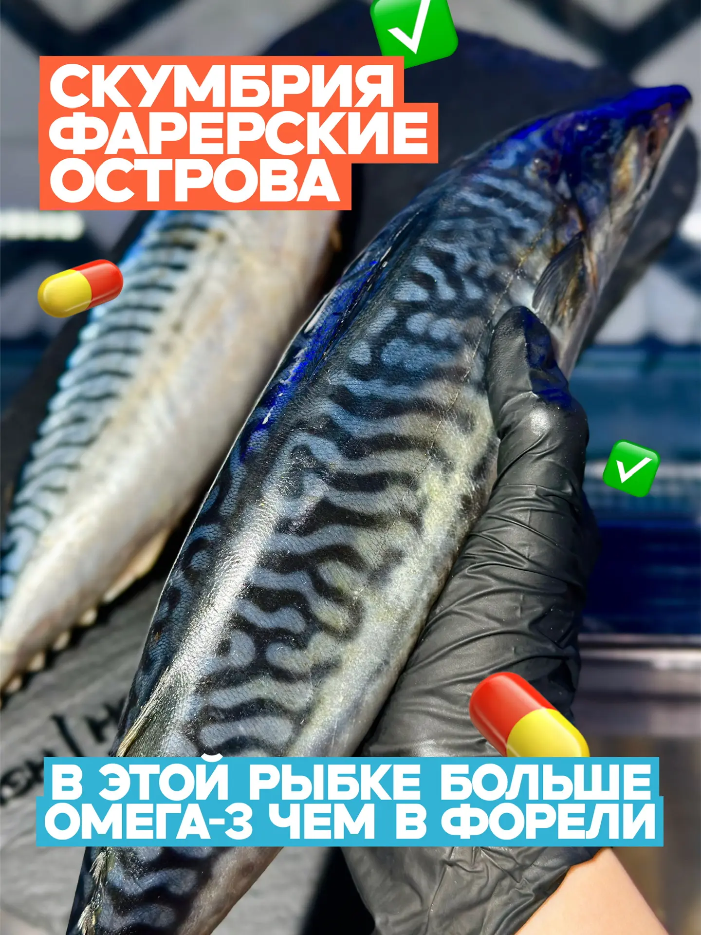 Скумбрия фарерские острова с/м — 595₽/кг🏝️💊