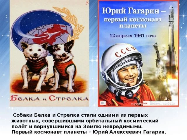 «Если только захотим, мы и в космос полетим!»