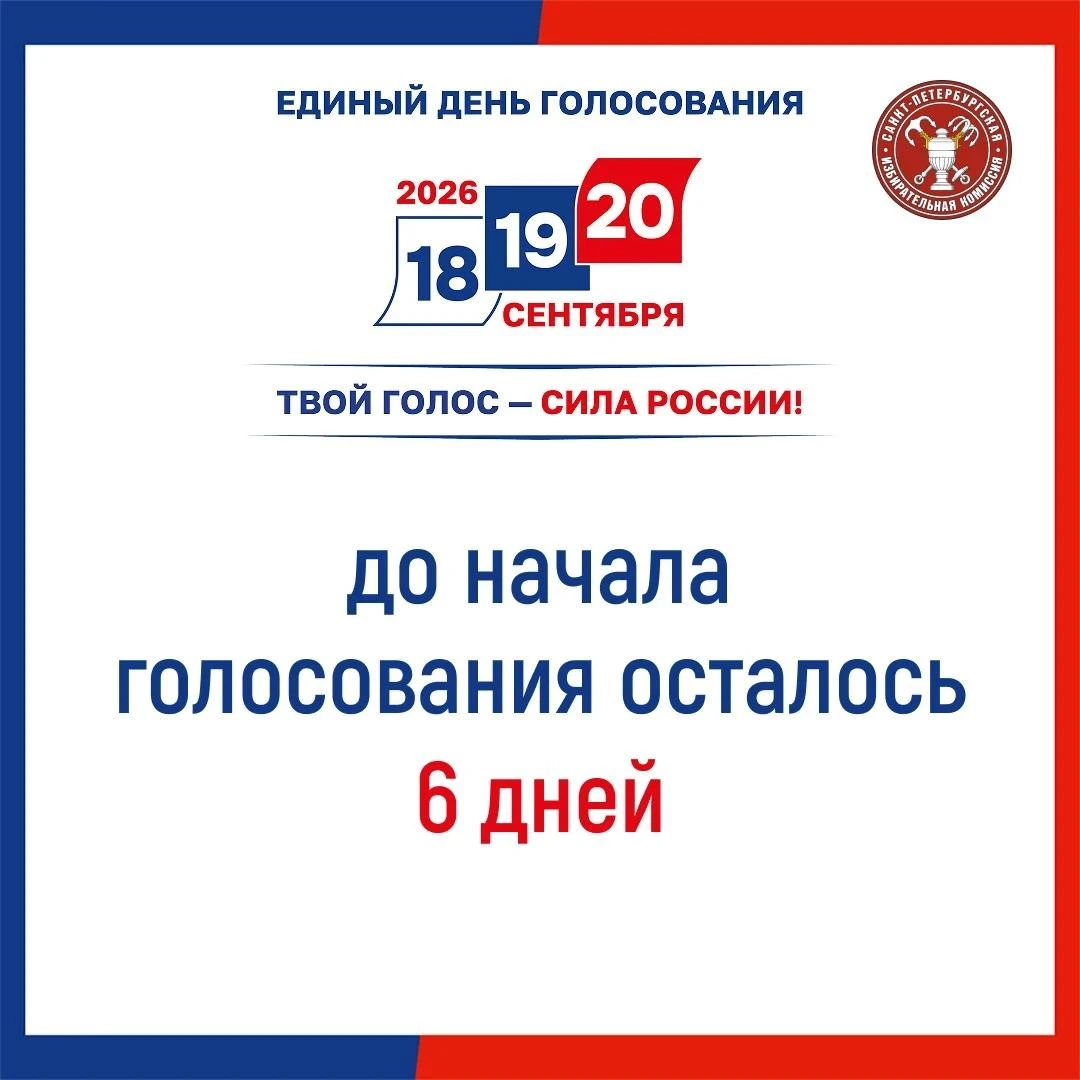 🗳 До начала голосования в Петербурге остаётся шесть дней