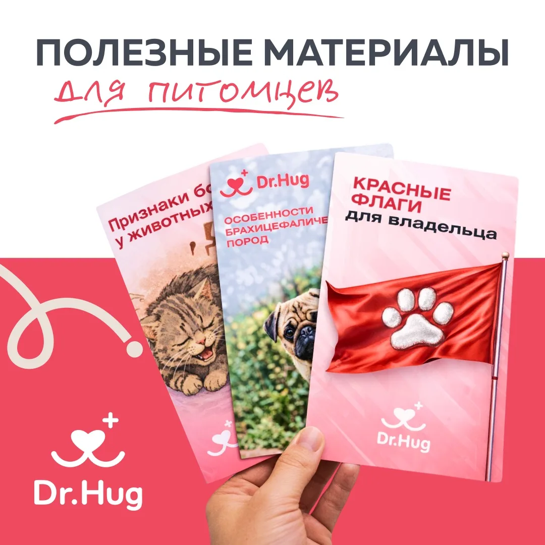 🐾 Всё самое важное - в наших бесплатных гайдах