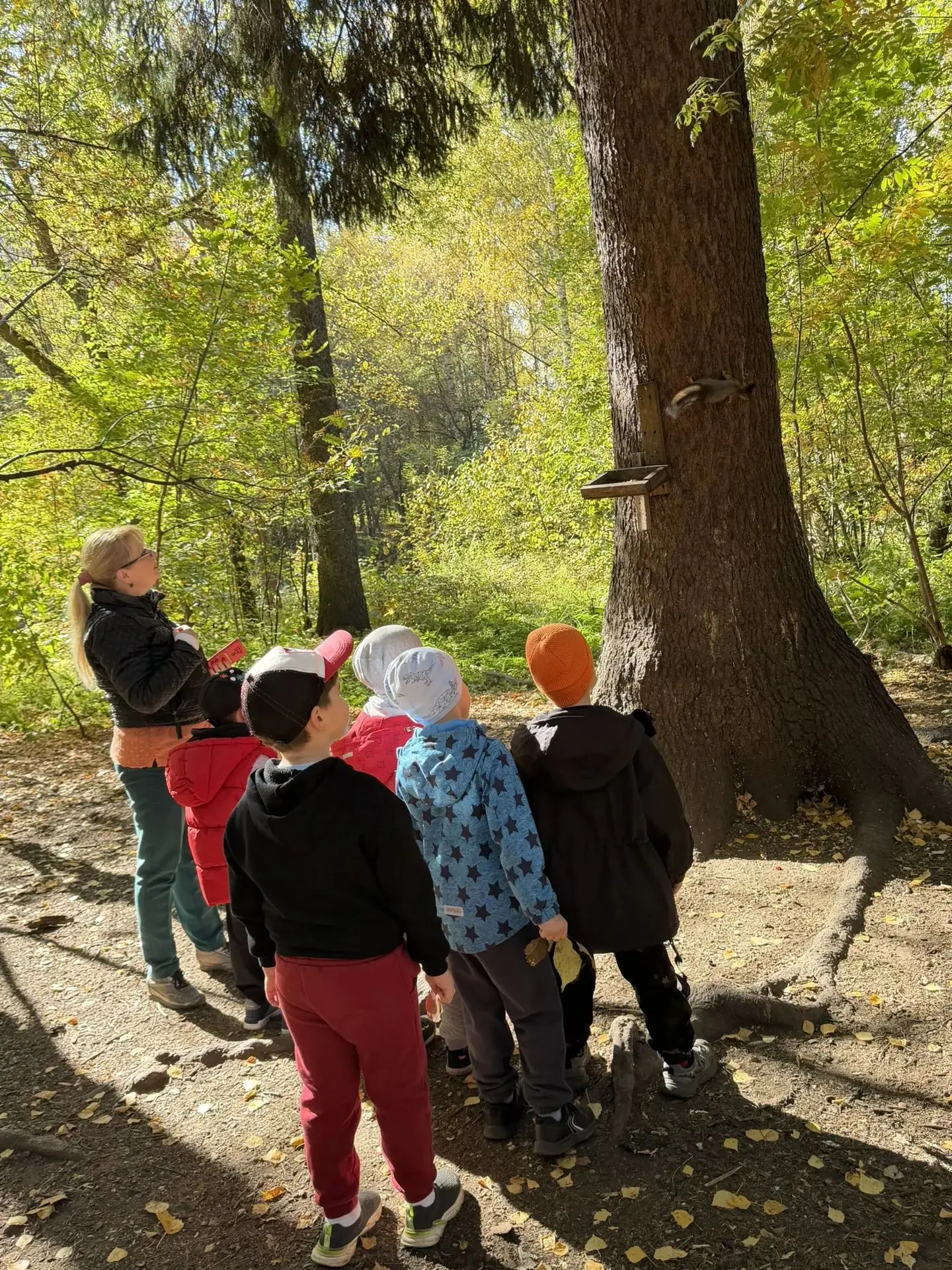 🍂Какая замечательная осенняя прогулка! Для старшей группы «Одуванчик» это не просто ра...