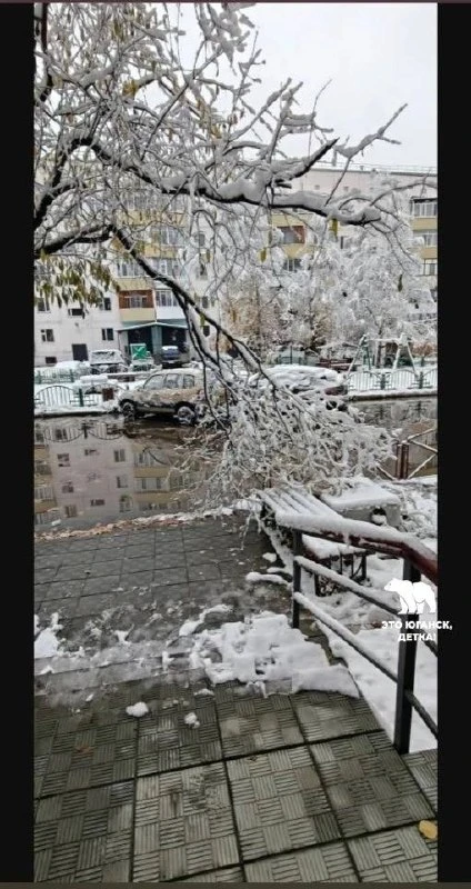 Первый снег в нашем городе натворил бед, конечно.