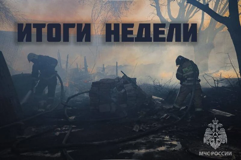 Итоги недели 

За прошедшую неделю огнеборцами было ликвидировано 142 пожара, 83 из которых – ландша