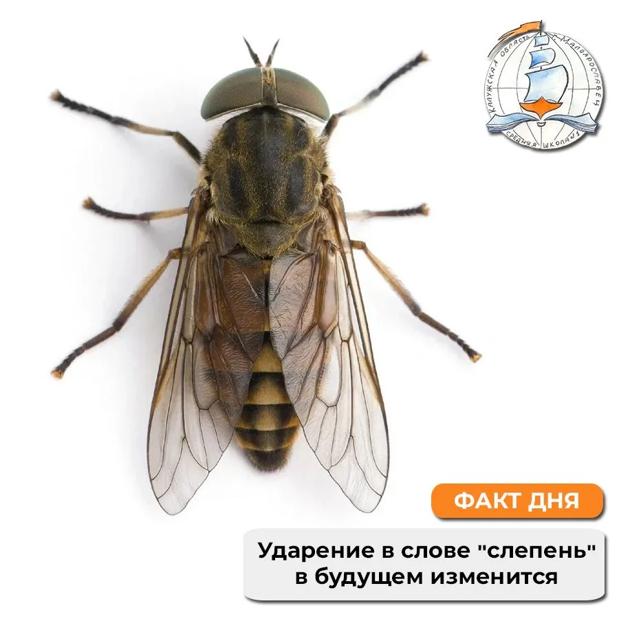 ☝ Светлана Павловна сказала! Знали?