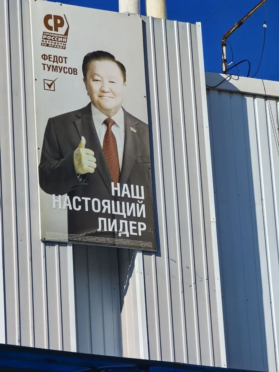 Тоска зеленая