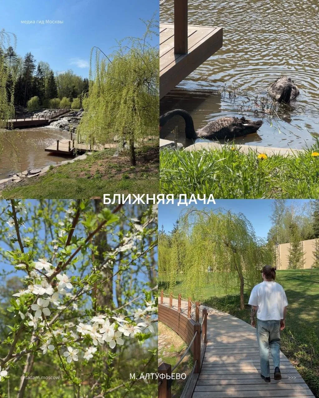 Изображение 5 к публикации «Куда сходить в Москве бесплатно | Московская Ворона»