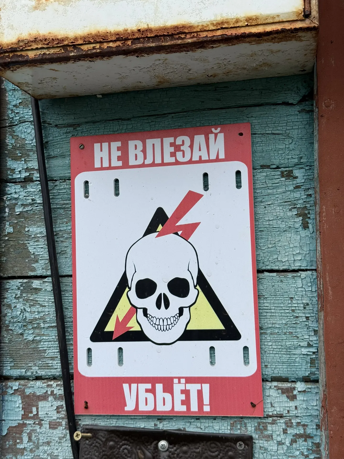 Мечта №638 иметь свою плантацию с огурцами и помидорами 🤪