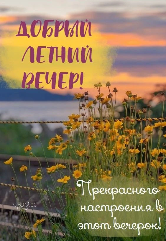 МИР ПОЗИТИВА 🤩 ОТКРЫТКИ!