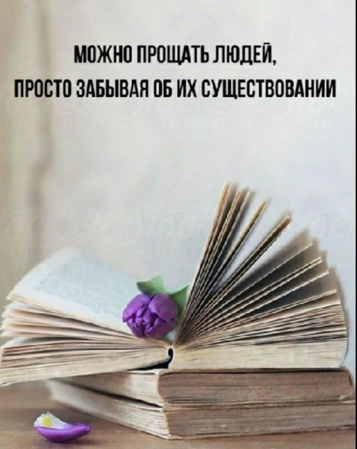 Цитаты жизни