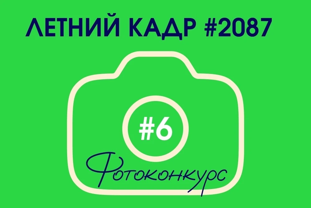 ☀ Наш фотоконкурс «Летний кадр #2087» продолжается! 

На очереди тема для самых внимательных и наблю