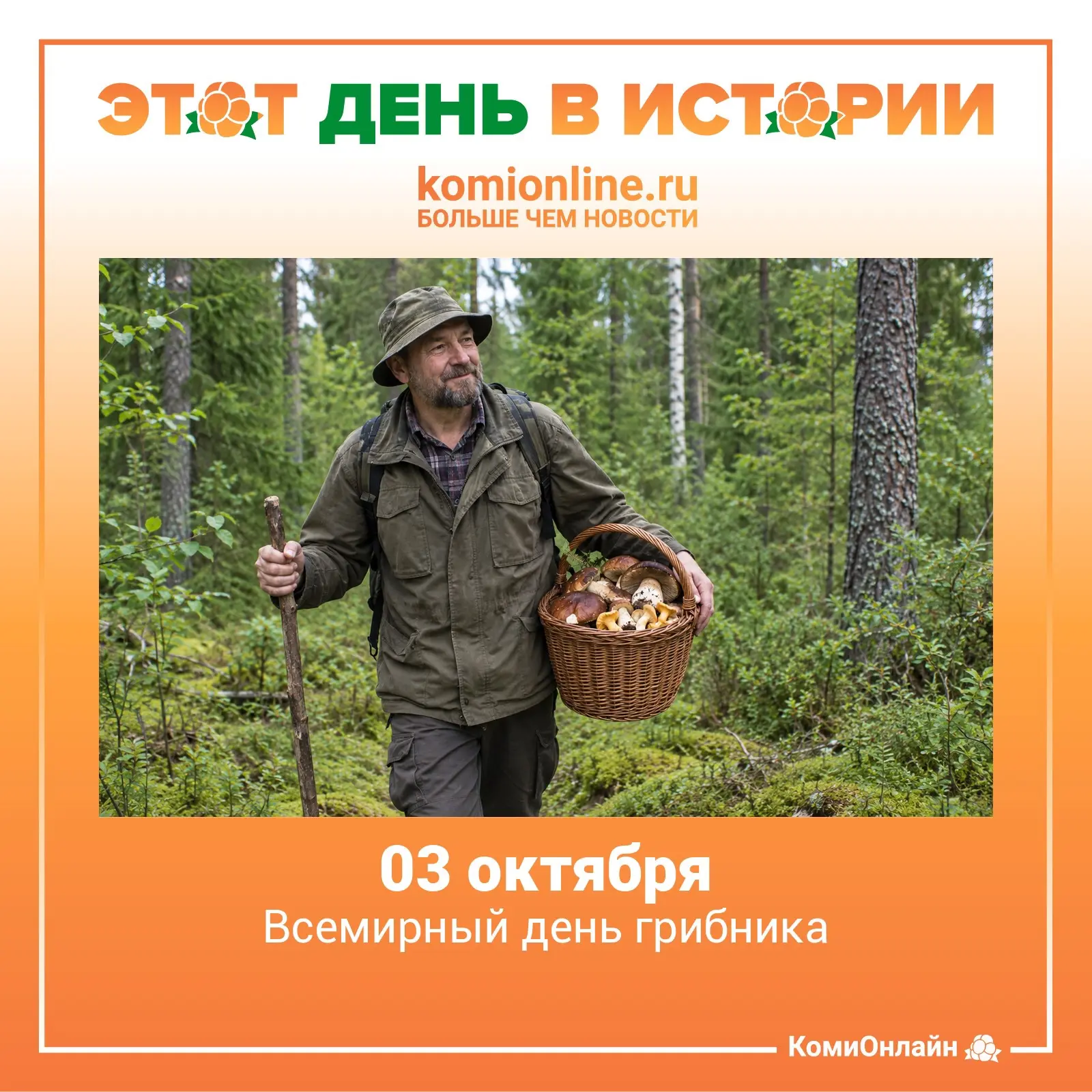 🗓️3 октября — Всемирный день грибника.