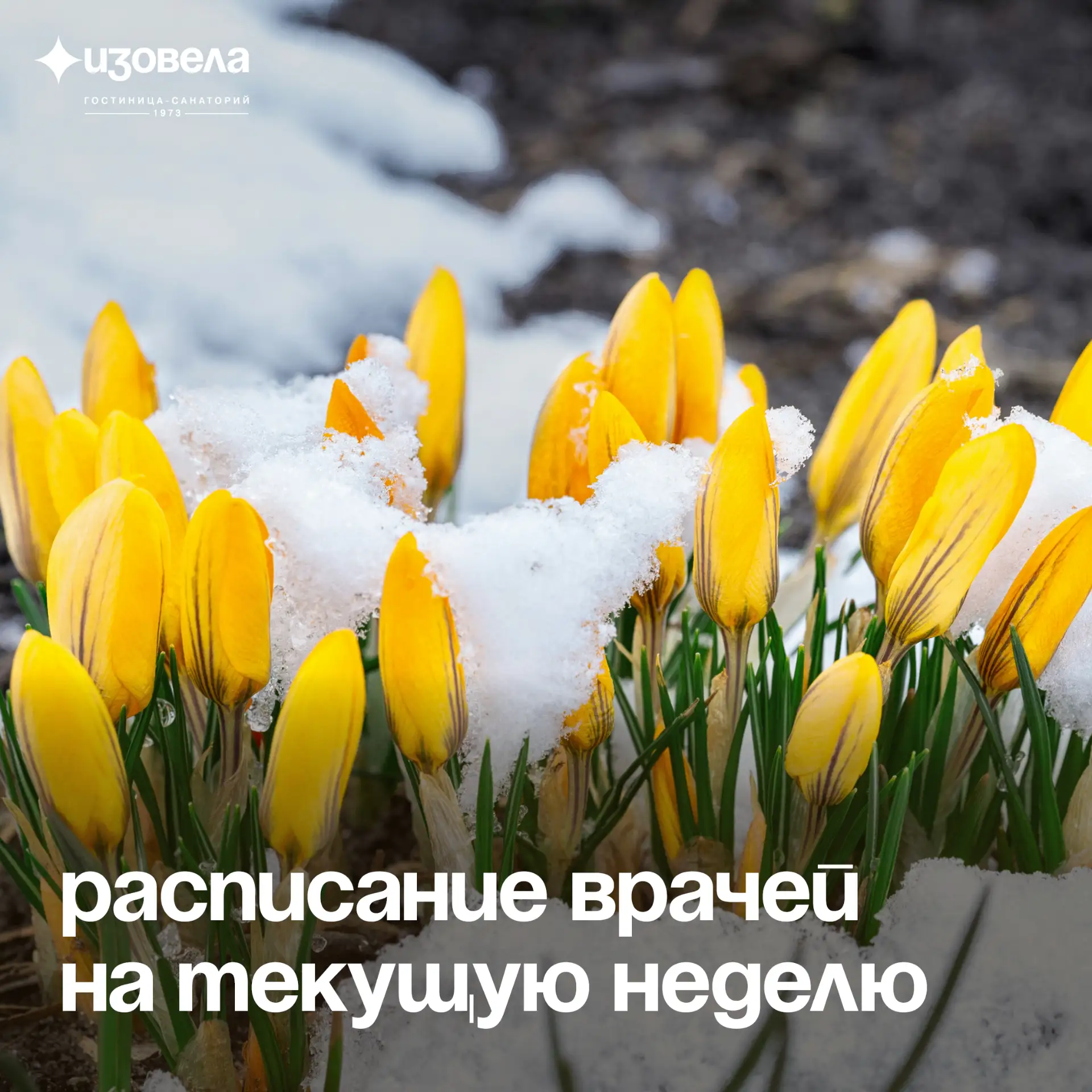 ✨ Запишитесь на приём к врачам медицинского центра и приглашённым специалистам на этой ...