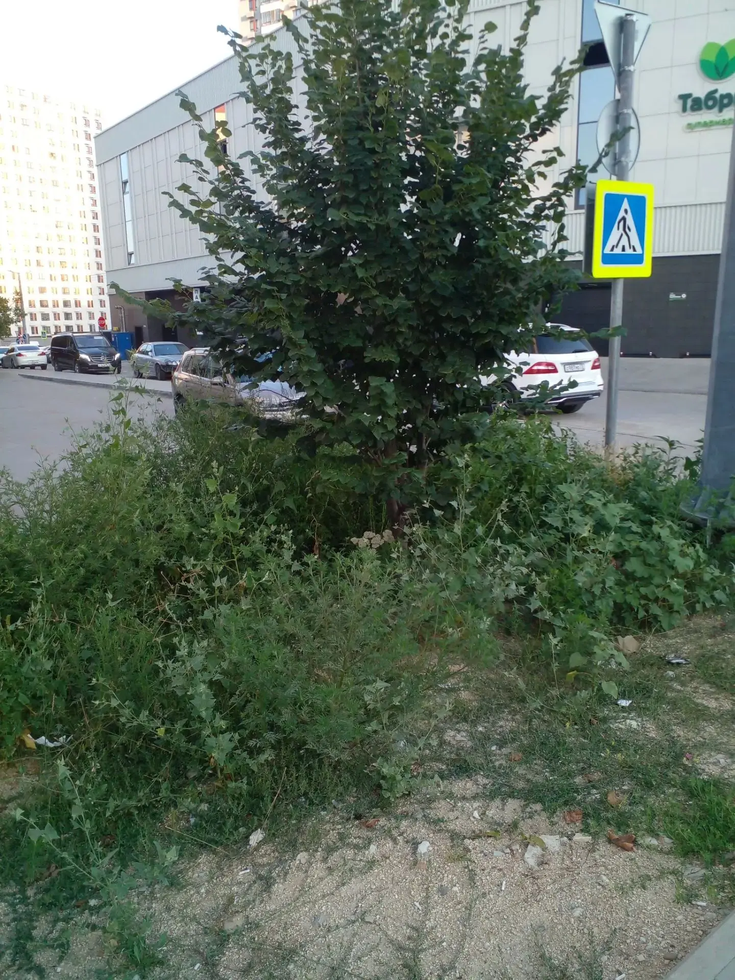 Можно, пожалуйста, разместить просьбу к ответственным лицам навести порядок в районе нового кольца н