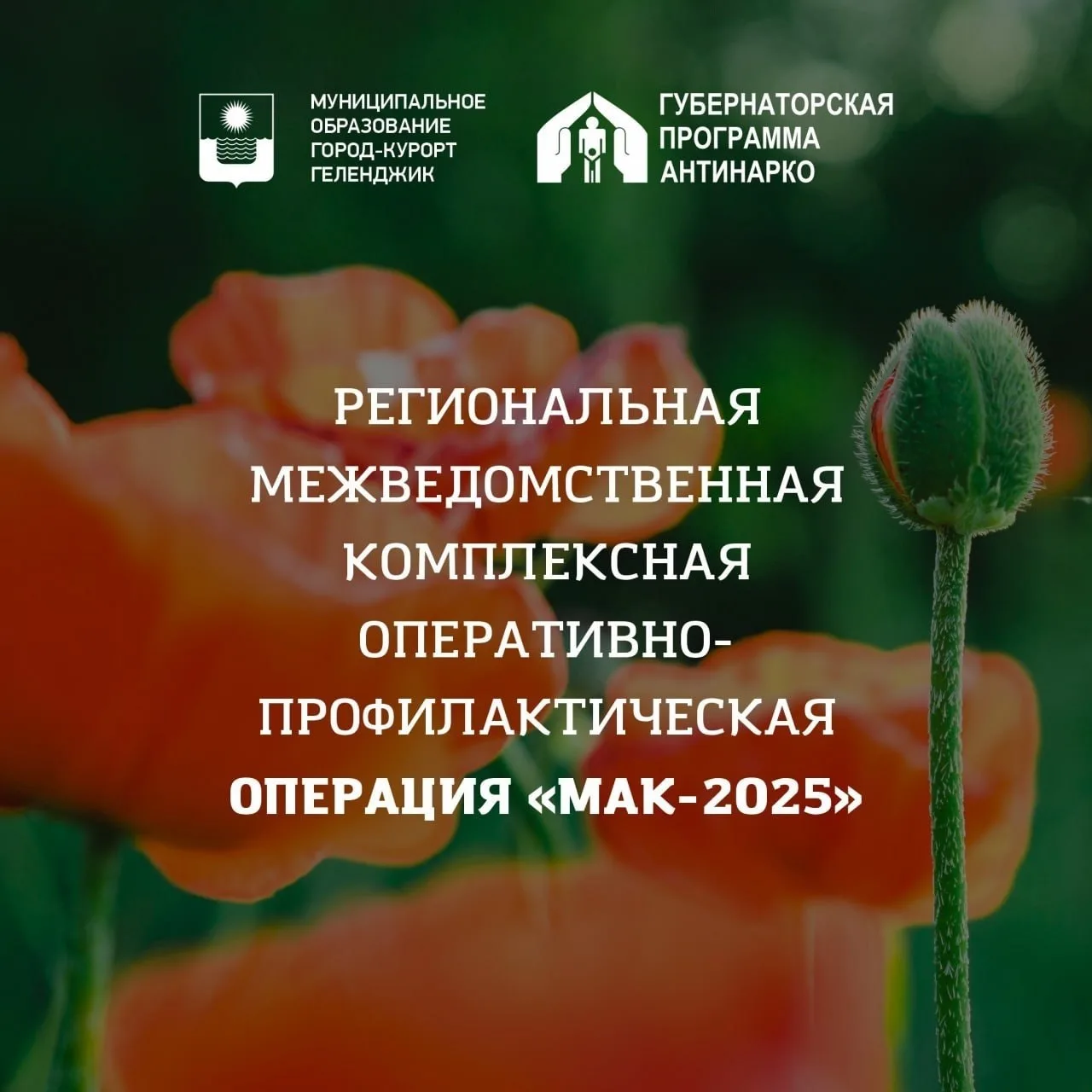 В Геленджике проходит операции «Мак – 2026»

На территории города проходит второй этап межведомствен