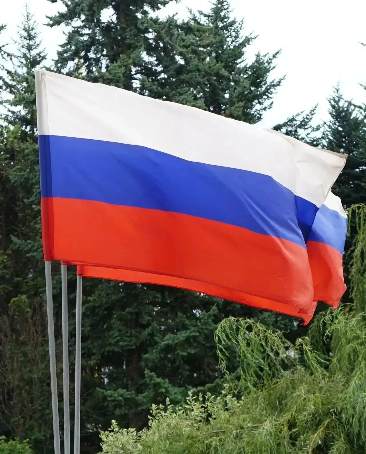 Флаг России — государственный  символ страны. В бело-сине-красных цветах отражены наши ...