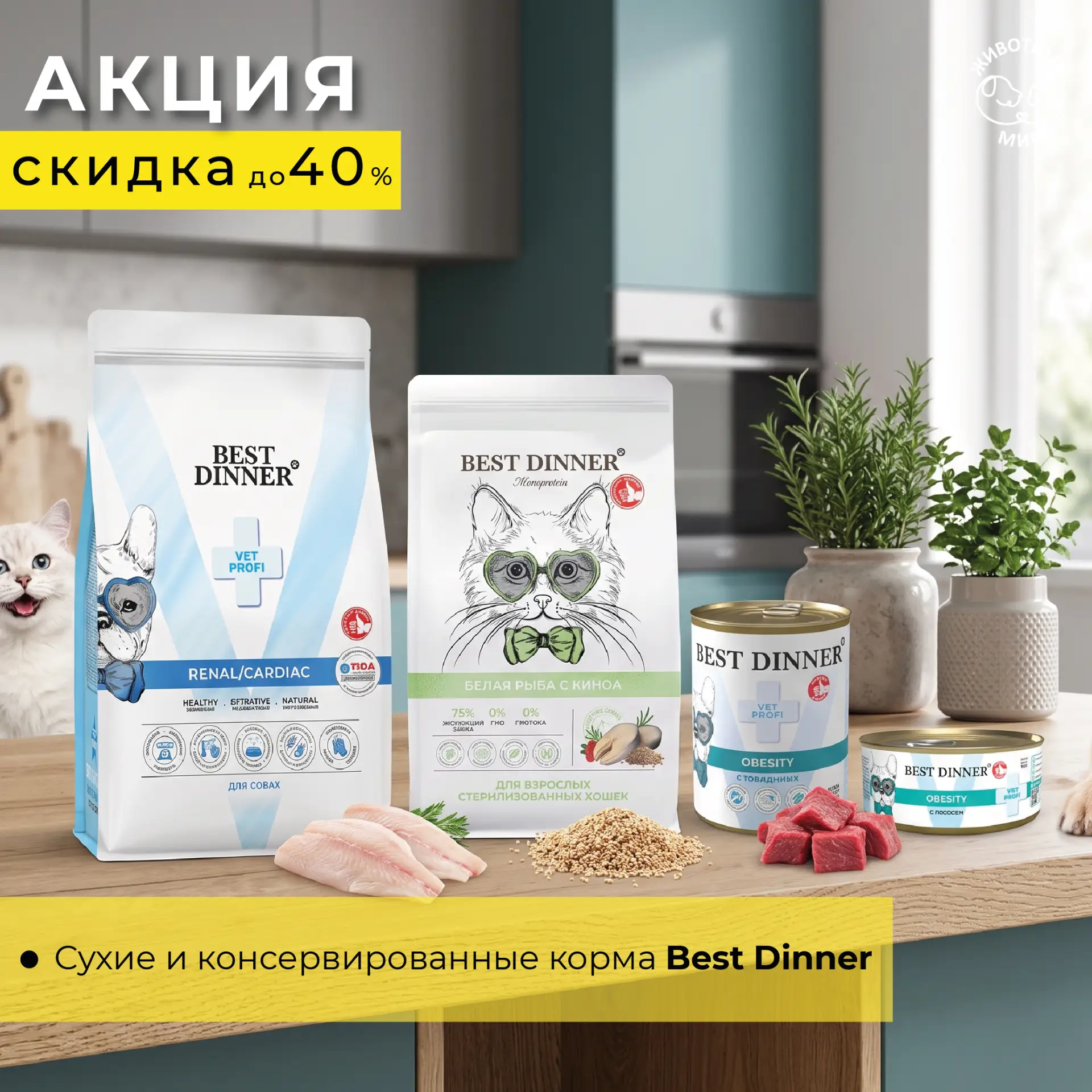 🔥 Сентябрьский ценопад на Best Dinner: СКИДКИ от 15% до 40%!