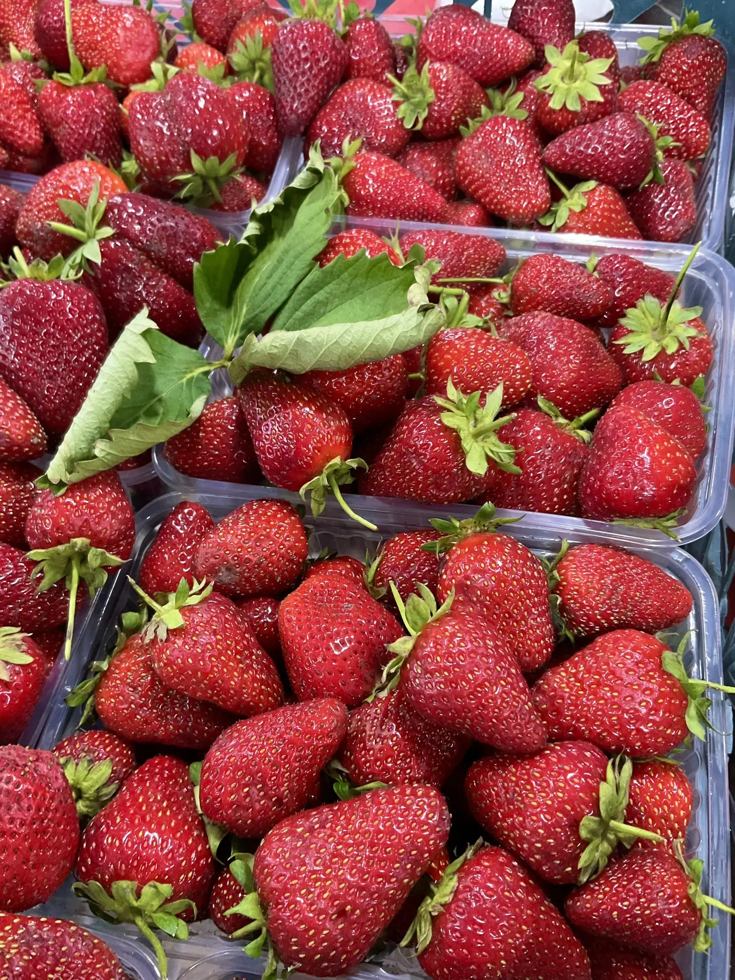 Лето в каждой ягодке!🍓☀️🍒 Текущие цены в наших фруктово-овощных рядах:

•клубника (Острогожск, Пав