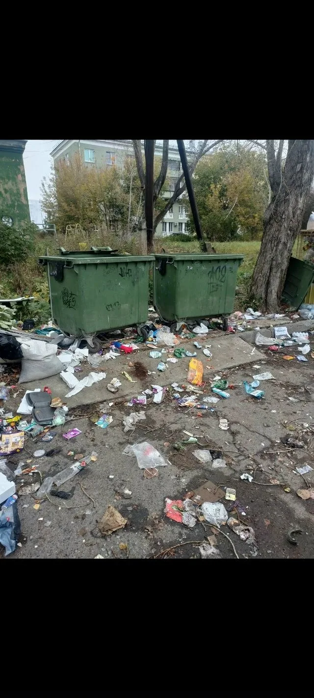 Кому принадлежит мусорная точка между Кирова, 13 и Чапаева, 6 ???По неподтвержденной ин...