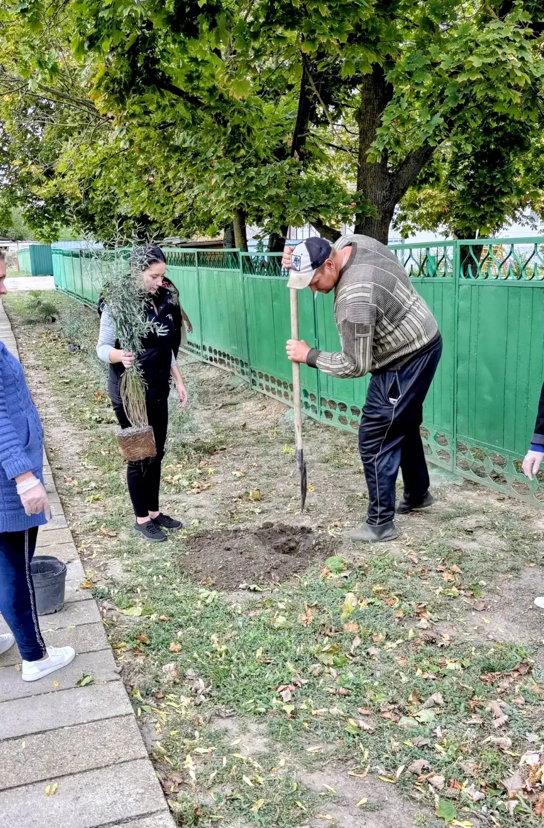 🌿 Второй этап акции «Зелёное наследие» - в действии!