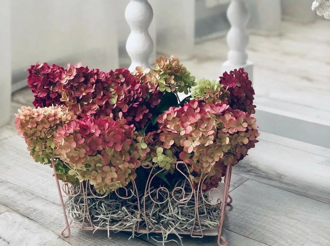 🌸🌸🌸 Хотите, чтобы гортензия радовала взгляд не пару недель, а месяцы?