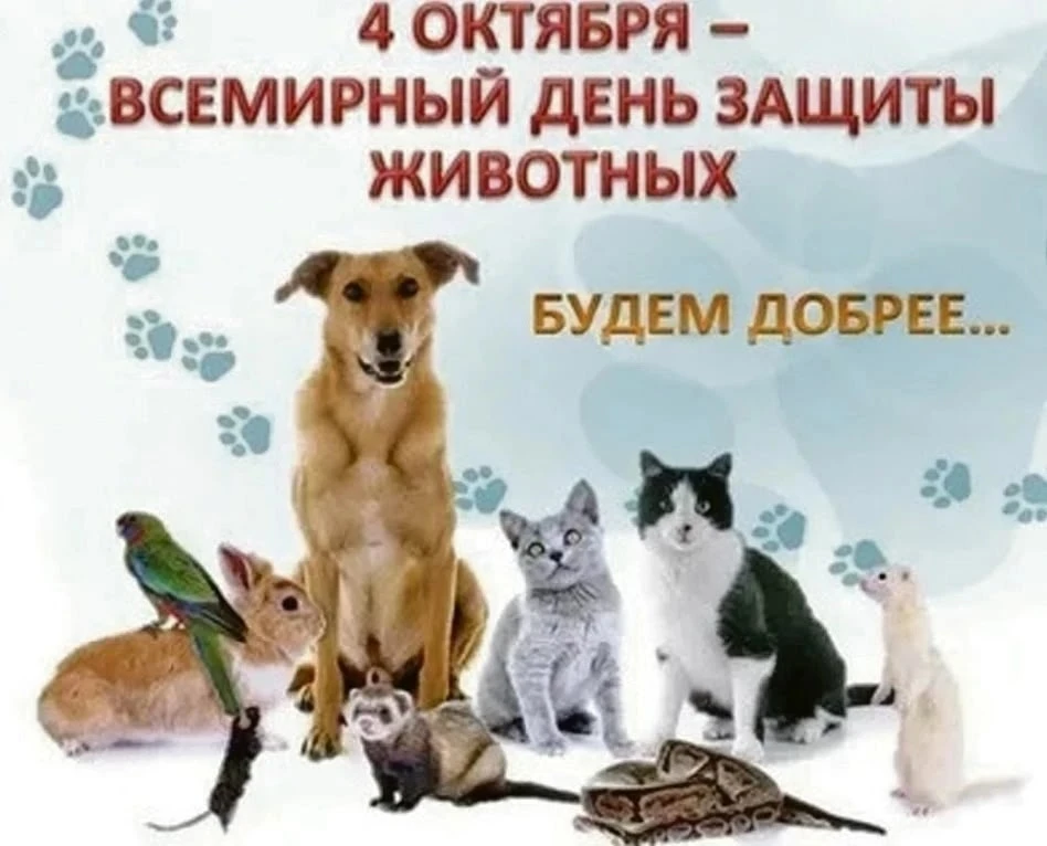 4 октября отмечается Всемирный день защиты животных— праздник, напоминающий нам о том, ...