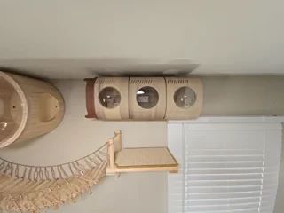 CAT DISTRIBUTION SYSTEM