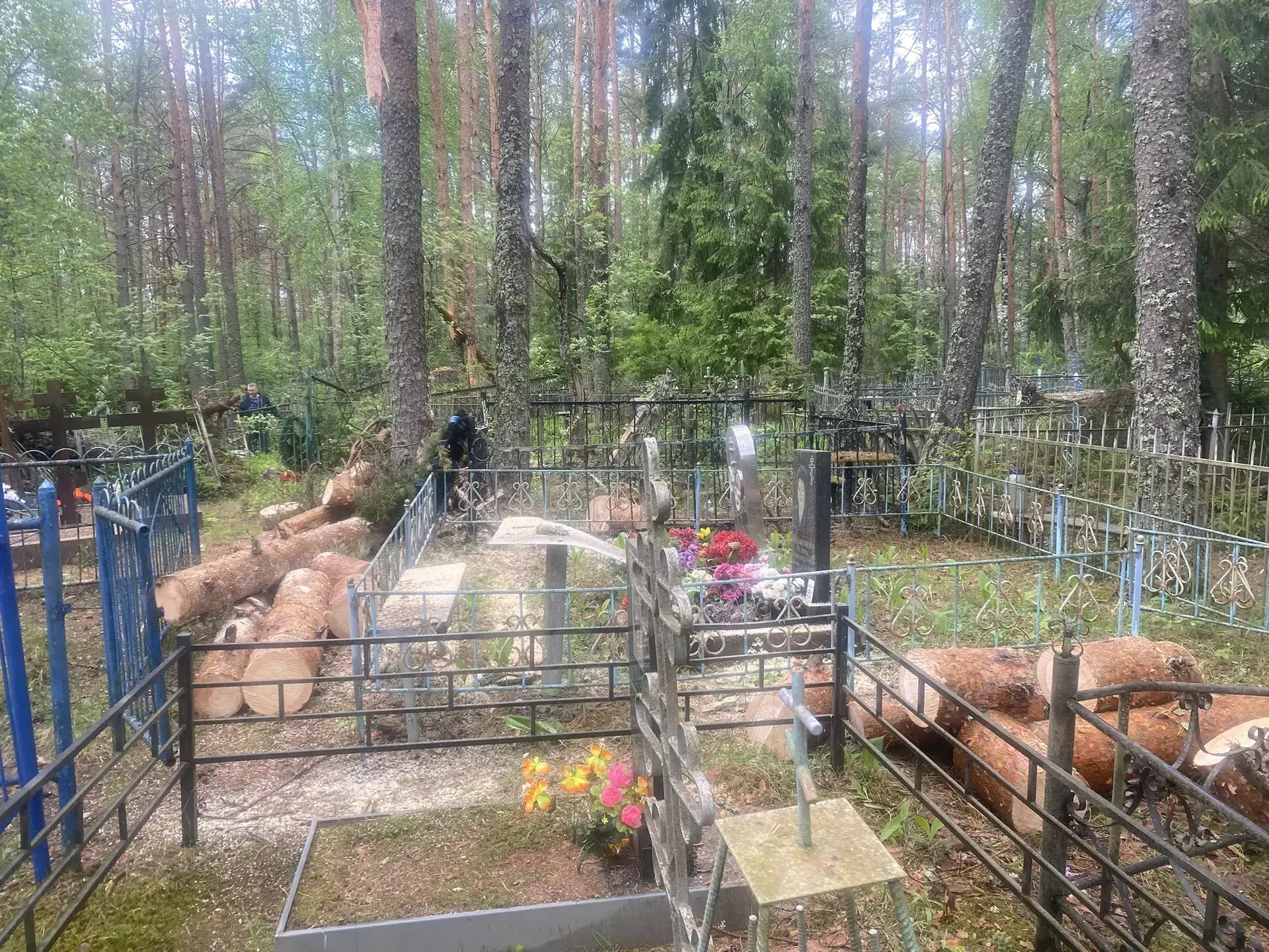 "В результате неблагоприятных погодных условий (сильный ветер) на кладбищах д.Мотохово Пчевского СП,