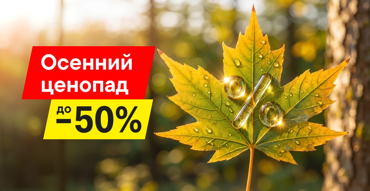 🍁 Осенью падают не только листья, но и цены до −50%.