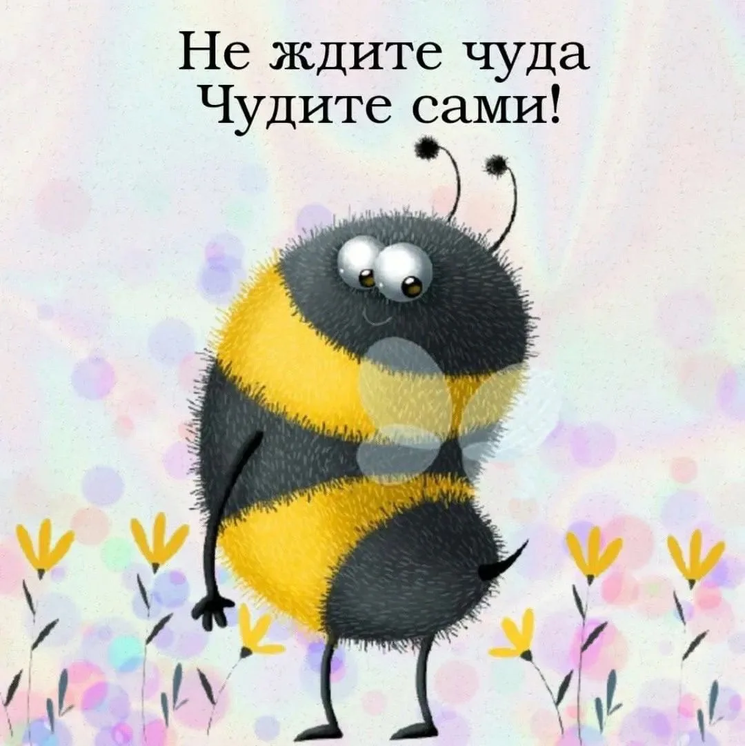 🎁Поздравления и открытки
