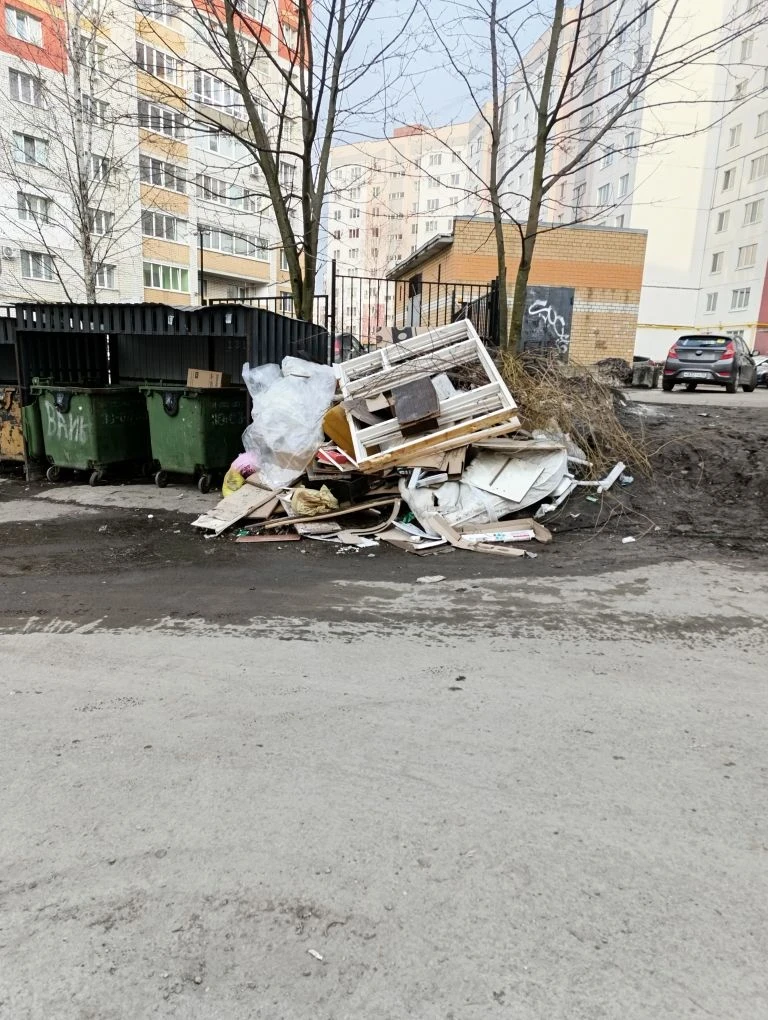 В Брянске с приходом весны обострилась проблема с невывозом крупногабаритного мусора (К...
