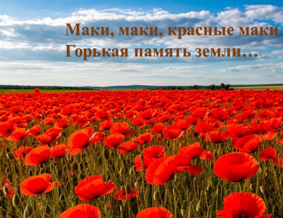 К ДНЮ ПАМЯТИ И СКОРБИ…

На полях былых сражений распустились маки, 
Распустились для солдат, пока не