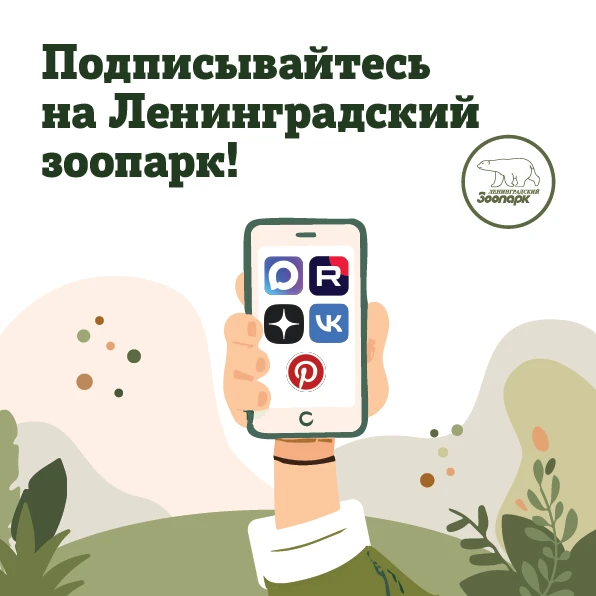 Ленинградский зоопарк всегда на связи!🤳  Дорогие друзья! Мы очень дорожим вами и хотим, чтобы вы все