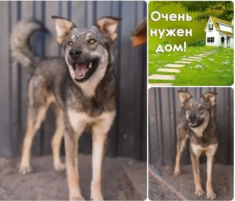 💔 ШАРЛОТТА — НЕЖНАЯ И ЛАСКОВПЯ ДЕВОЧКА, КОТОРАЯ ЗНАЕТ, ЧТО ТАКОЕ ПРЕДАТЕЛЬСТВО! 

Ей было 2 мeсяца,