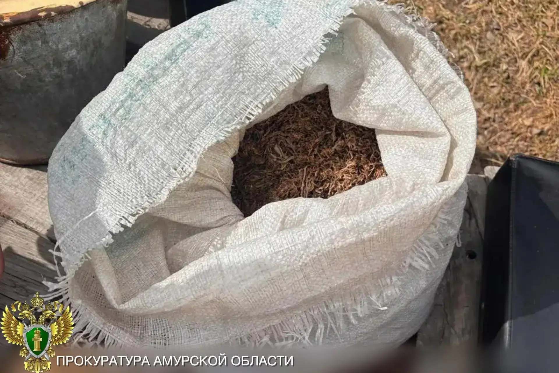 В Завитинском муниципальном округе приобретение и хранение наркотических средств оберну...