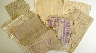 🔬 Открытый визит в лабораторию реставрации архивов на ул. Геологов пройдет 6 октября