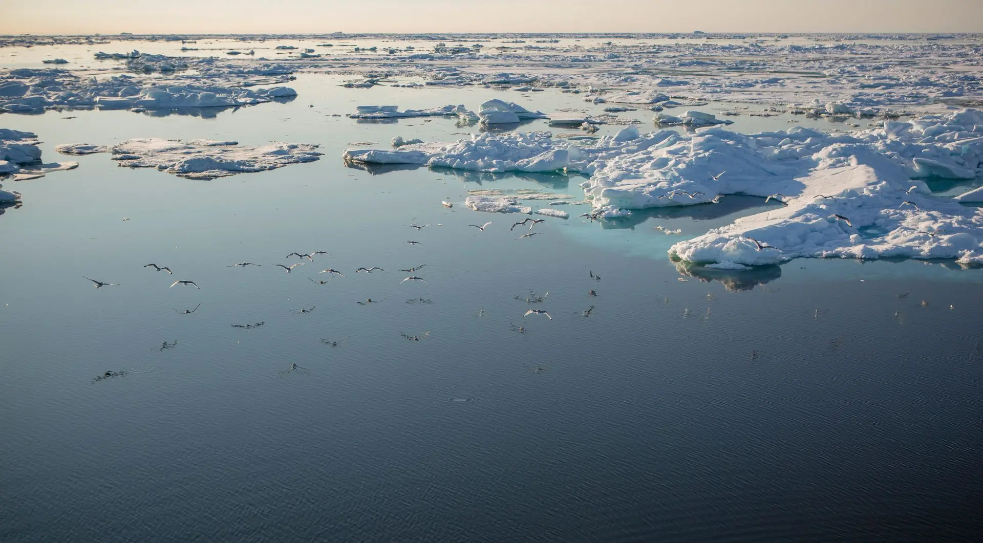 💻 #МГИ_в_СМИ

Научно-информационный портал «Поиск»: Исследование мезомасштабного вихря в Карском мо