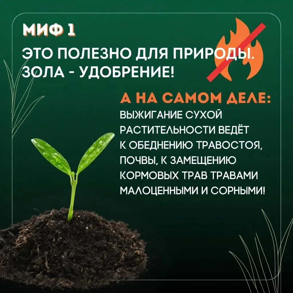 🔥 Пал травы может обернуться трагедией!  Многие знают об опасности, однако, несмотря на это, за неде