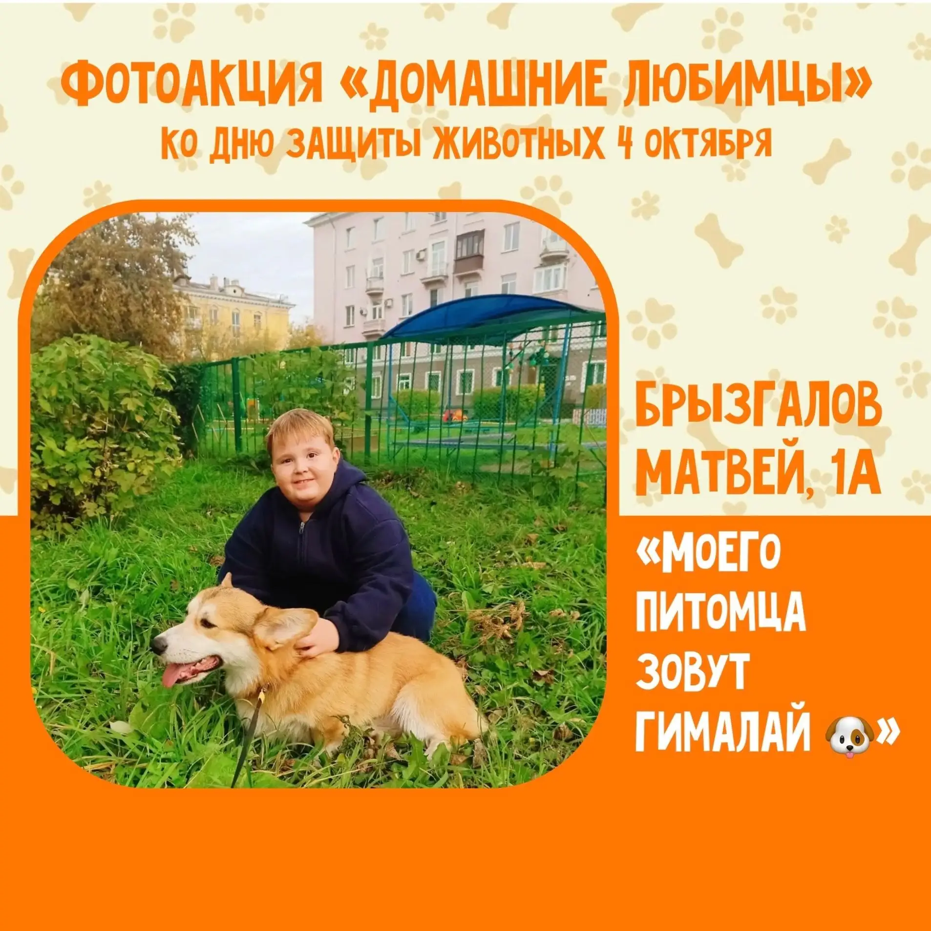 📢 Фотоакция «Домашние любимцы» ❤️