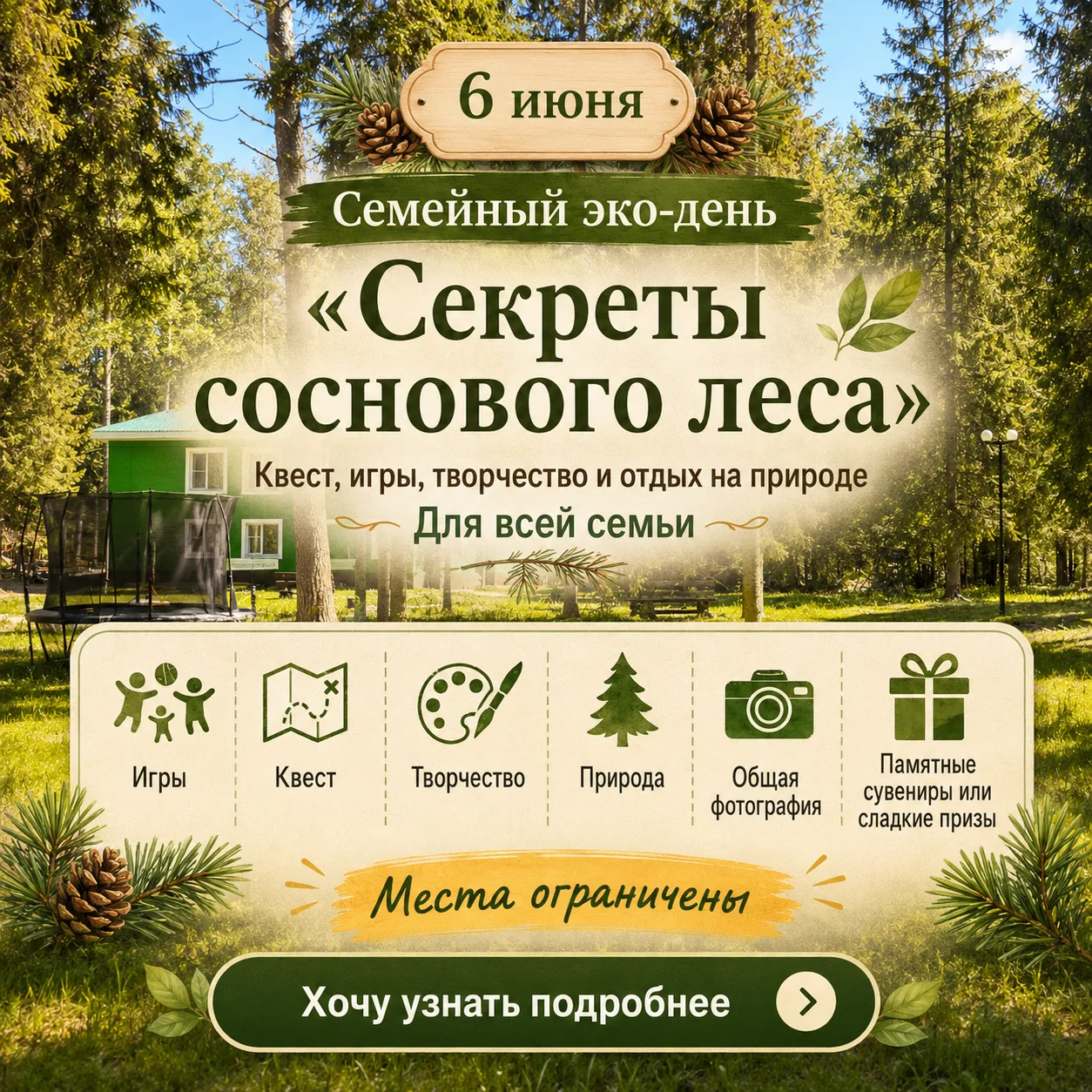 🌲 Семейный эко-день «Секреты соснового леса» — 6 июня