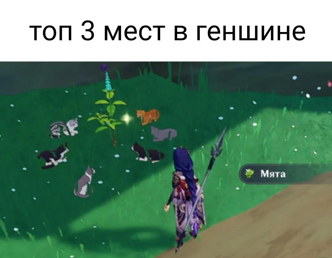 кошачий остров би лайк
